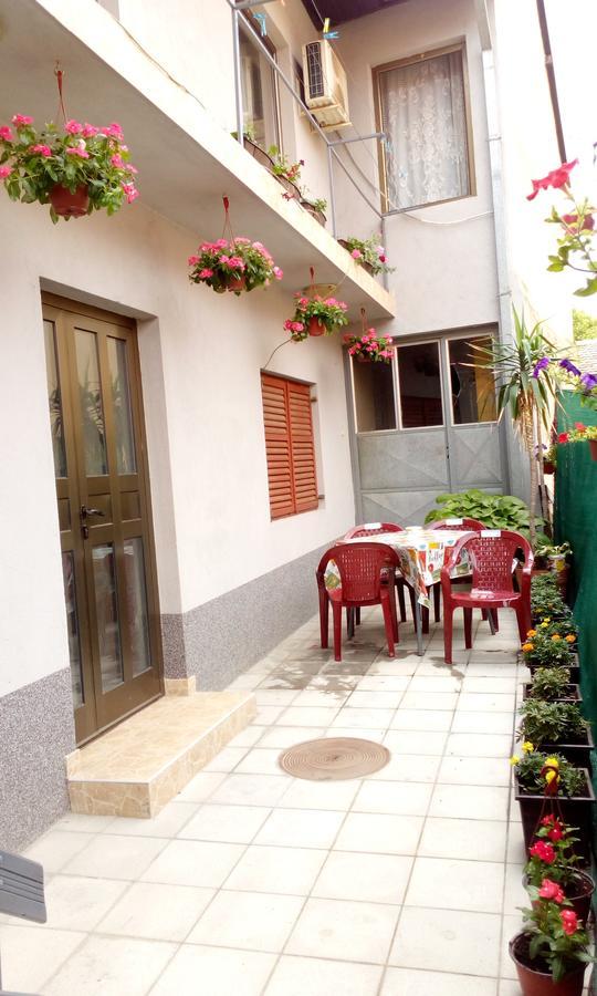 Hostel Olimpik Negotin Exterior photo